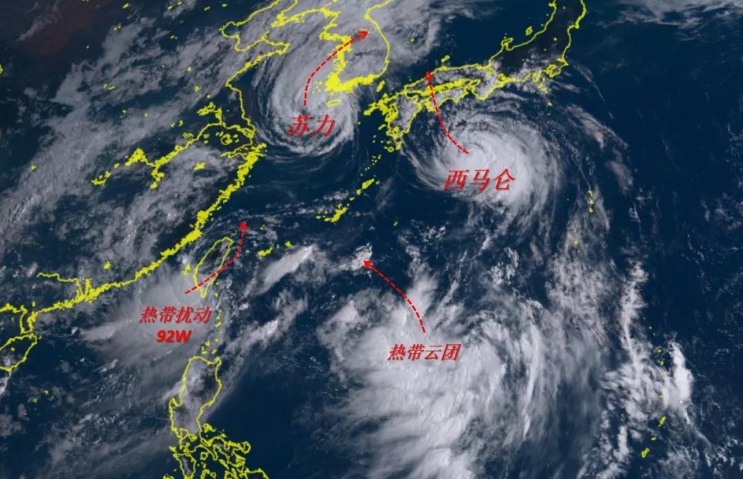 福建的温馨日常，友情、家庭与爱的交织故事