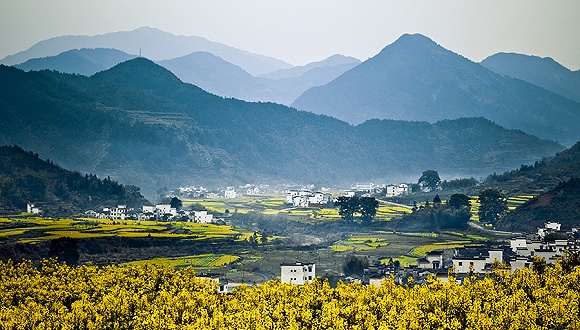 江西: 探寻地域魅力与人文风采的评论文章